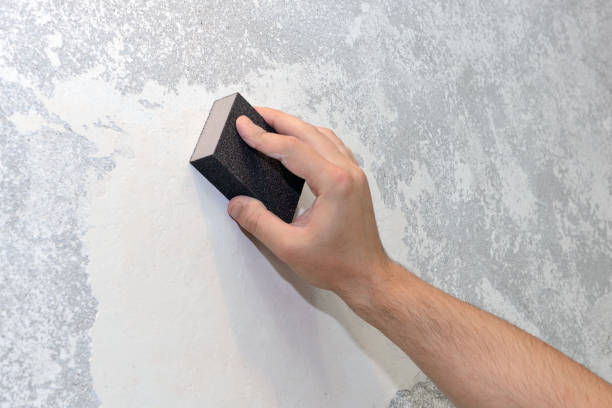Best Mold Prevention Services  in Glennville, GA