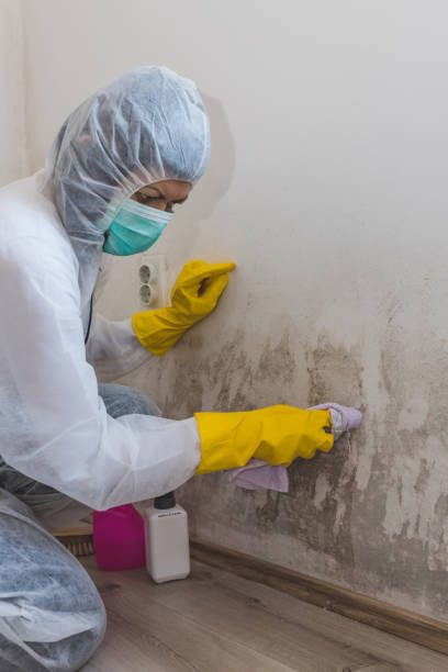 Best Biohazard Mold Removal  in Glennville, GA