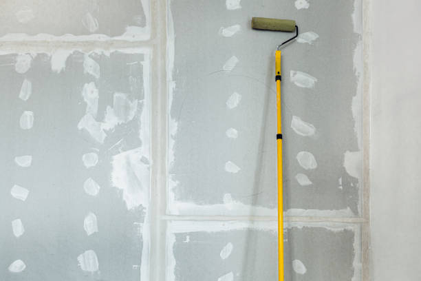 Best Basement Mold Removal  in Glennville, GA