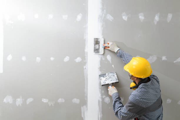 Best Asbestos and Lead Testing During Mold Inspection  in Glennville, GA
