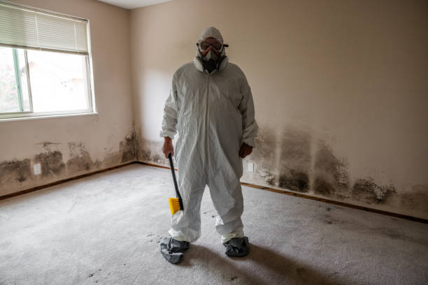 Best Post-Construction Mold Inspection  in Glennville, GA