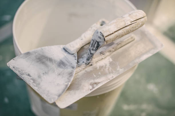 Mold Remediation for Vacation Homes in Glennville, GA